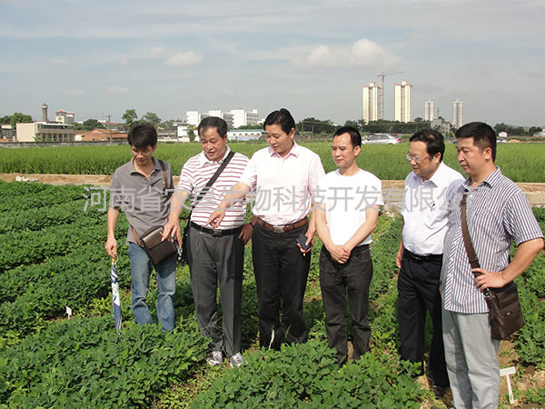 威力泰現(xiàn)場指導(dǎo)篇